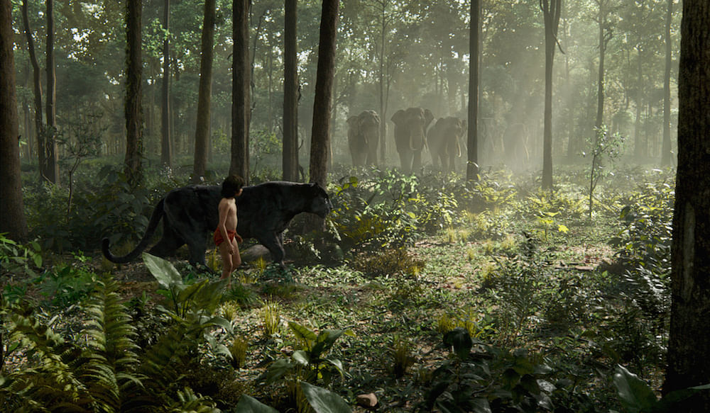 Jungle Book