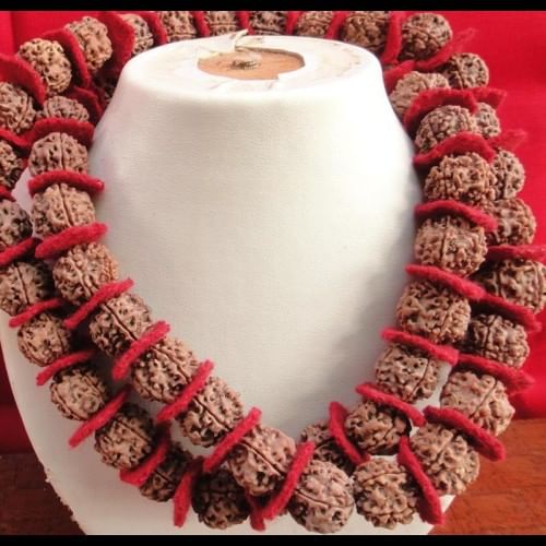 रुद्राक्ष धारण करने वालों को यह बातें जरुर जाननी चाहिए rudraksha mala benefits