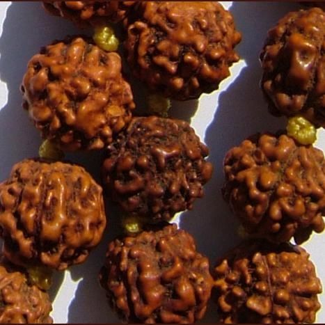 रुद्राक्ष धारण करने वालों को यह बातें जरुर जाननी चाहिए rudraksha mala benefits