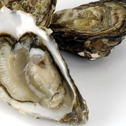 10 Super Food To Boost Sperm Count लहसुन के प्रयोग से बढ़ता है स्पर्म