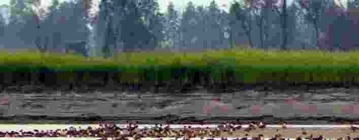 पहाड़ों पर बारिश, दो दिन में और बढ़ेगी ठंड paharo par baarish