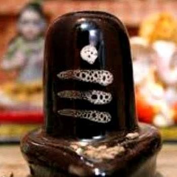 see a weird shiv temple, where snakes dont bite, haryana news