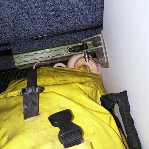 Passengers’ horror as pet snake slithers through US flight 