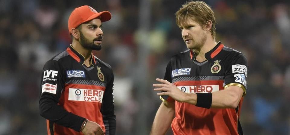 Image result for rcb कोहली और वाटसन