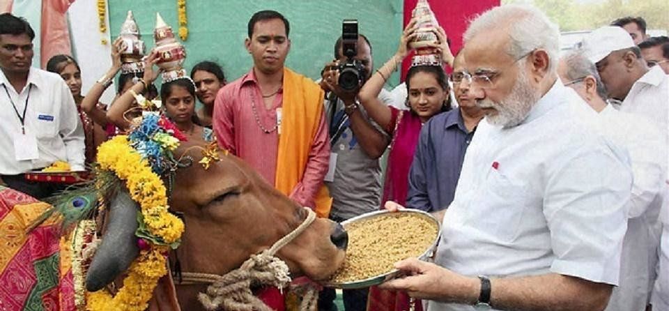 Image result for राष्ट्रीय पशु घोषित हो गाय