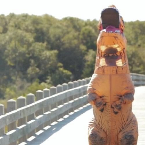 Bride big reveal in t-rex costume will melt your heart