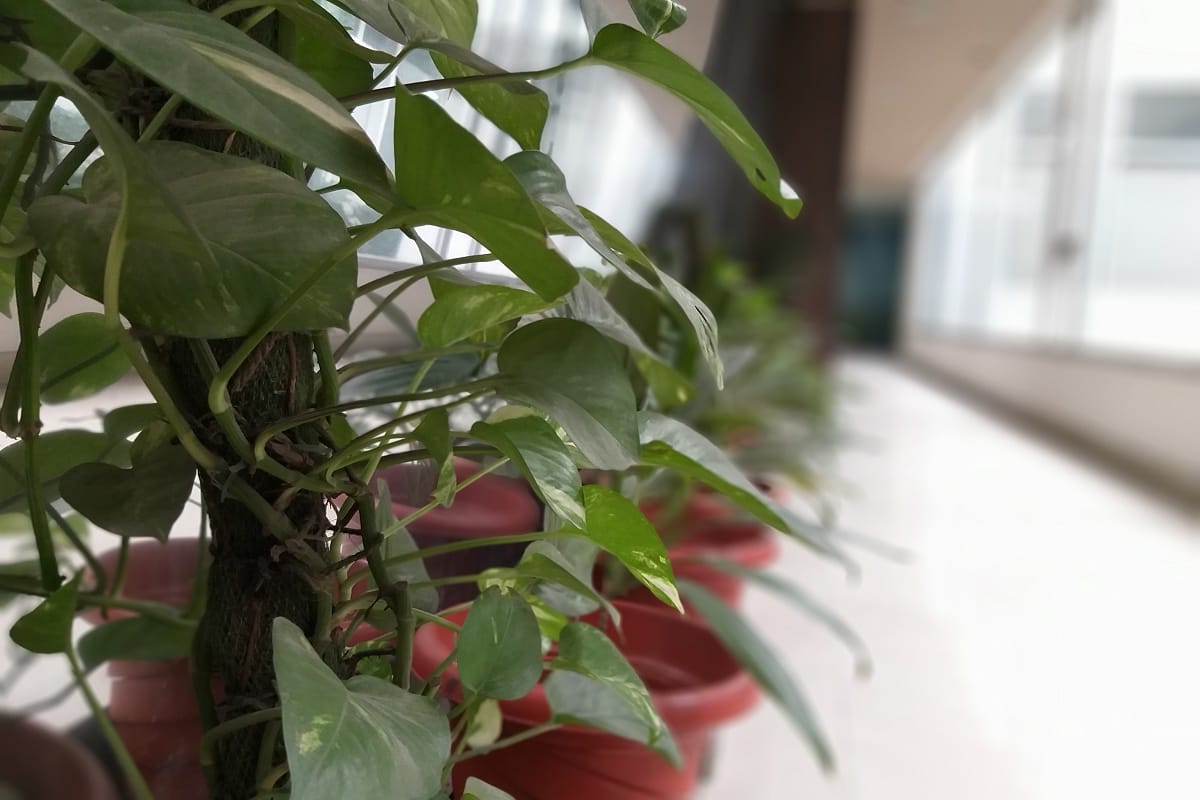 सैमसंग गैलेक्सी जे8 रिव्यू : डिस्प्ले का नहीं है कोई तोड़, कैमरा भी शानदार