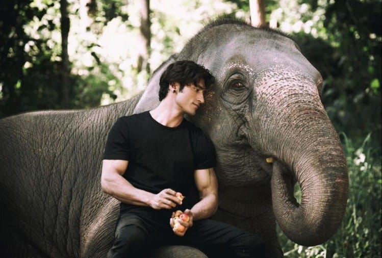 Vidyut Jamwal