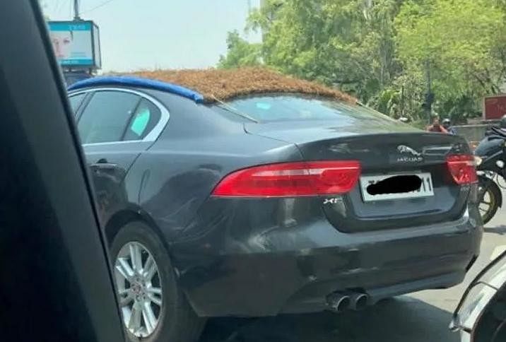 जैगुआर पर फूस Jaguar XE thatched roof