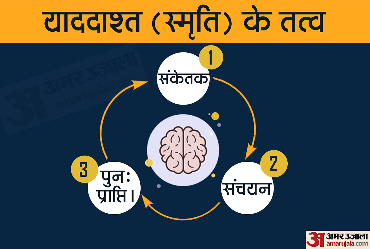 मानव स्मृति