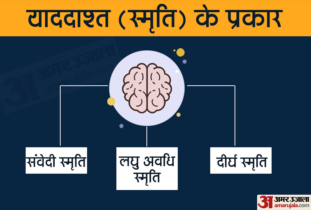 मानव स्मृति