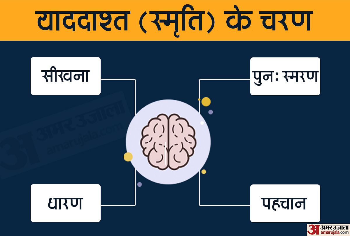 मानव स्मृति