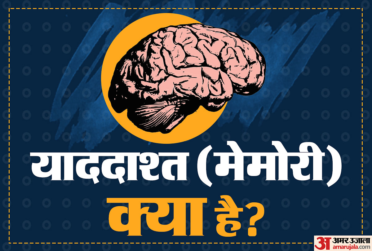 मानव स्मृति