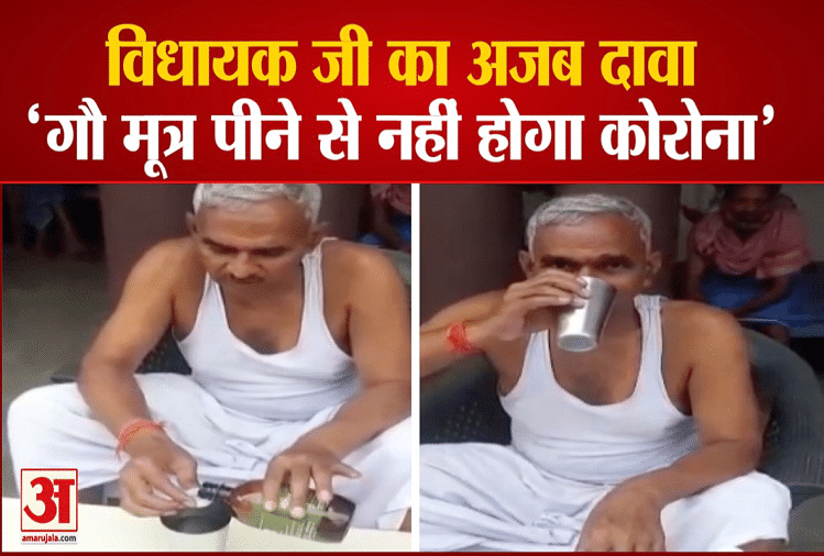 विधायक सुरेंद्र सिंह का  दावा, गौ मूत्र पीने से नहीं होगा कोरोना