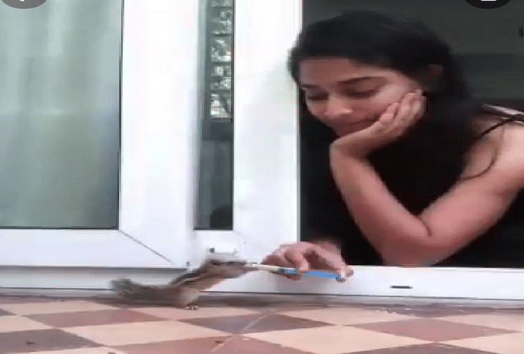 viral video trending video Woman feeds squirrel with syringe watch heart touching video
