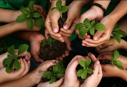 Tree Plantation drive by National Service Scheme, Jamia Millia Islamia