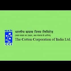 Cotton Corporation of India to Conclude Application Process Tomorrow for Junior Assistant Post