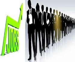 Bihar Government invites applications for Peon cum Watchman, apply now