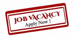 IBBI Releases Job Notification For Research Associates, Apply Now