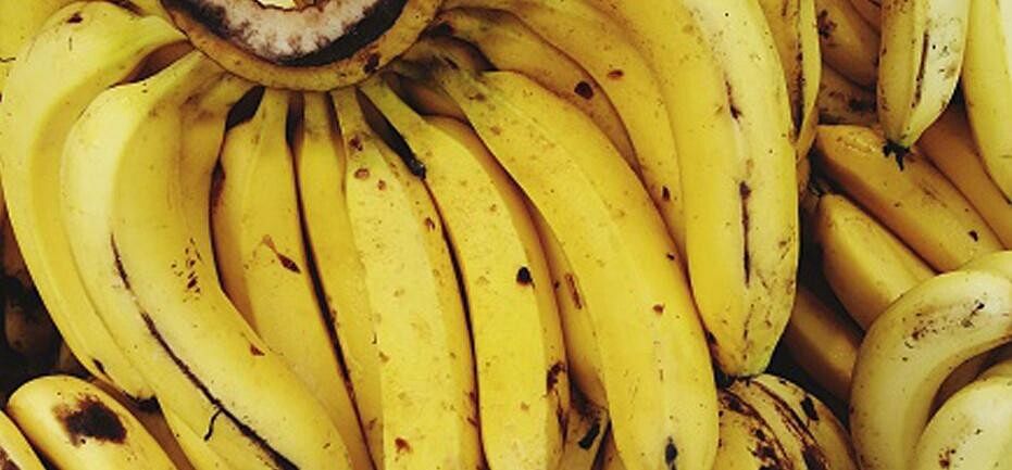 these food will control your blood presssure