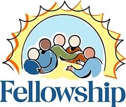 13 Odisha students win fellowship 