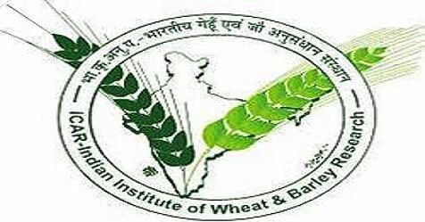 IIWBR Invites Applications For Senior/ Junior Research Fellow, Walk-in Interview on July 26