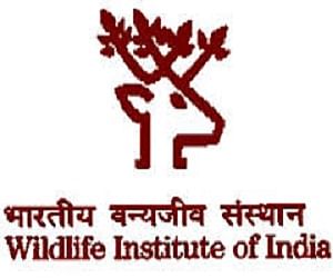 Wildlife Institute of India Recruitment 2017: Apply for Project Associate Jobs 
