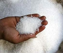 unsold sugar will not convert levy quota