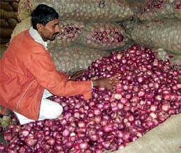 cartels in onion market hints of price fixing says cci study