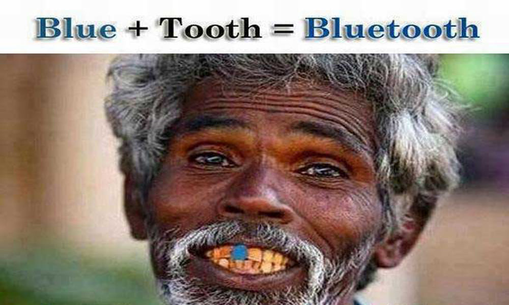 funny-pics_1457246936.jpeg