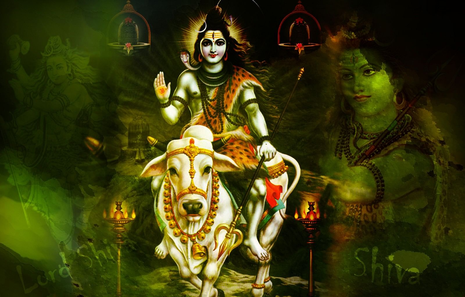 Mahashivratri 7 Things Not Allow In Shiv Puja - भगवान शिव ...