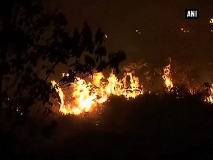 जम्मू के जंगलों में लगी आग हुई बेकाबू
