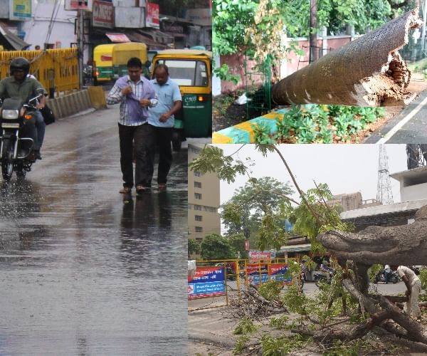 Rain And Fast Wind In Lucknow. बारिश व तेज हवाओं ने दी राहत साथ ही