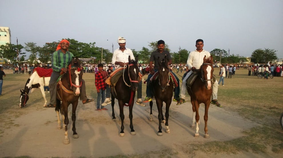 Horse Riding On Desi Racing Track, Pawan Win The Race देशी रेस ट्रैक