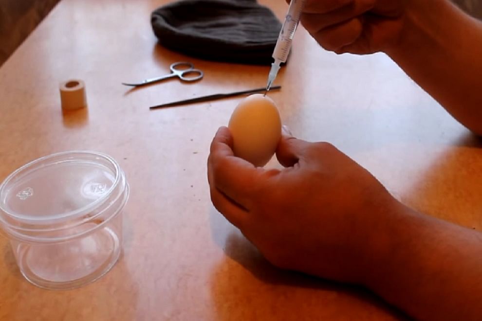 man injects his own semen into an egg