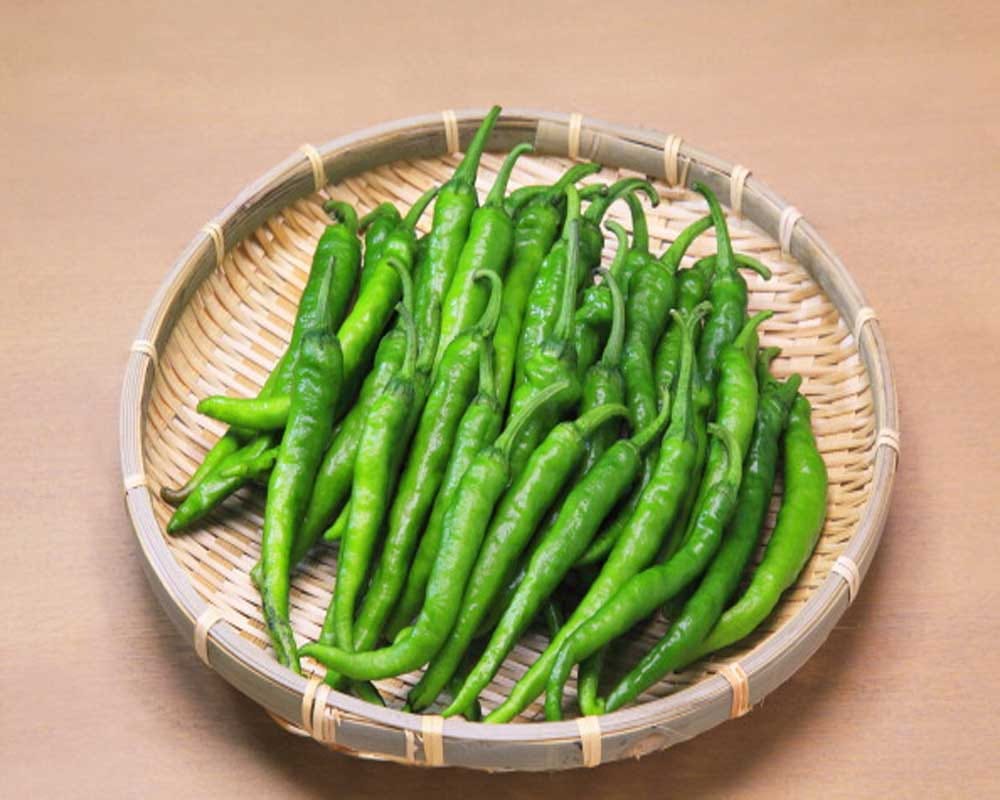 Green Chili Is Good For Health - शुगर से निजात ...