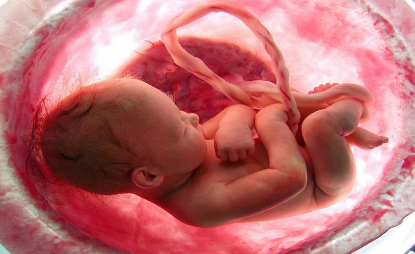 baby dancing in mother womb