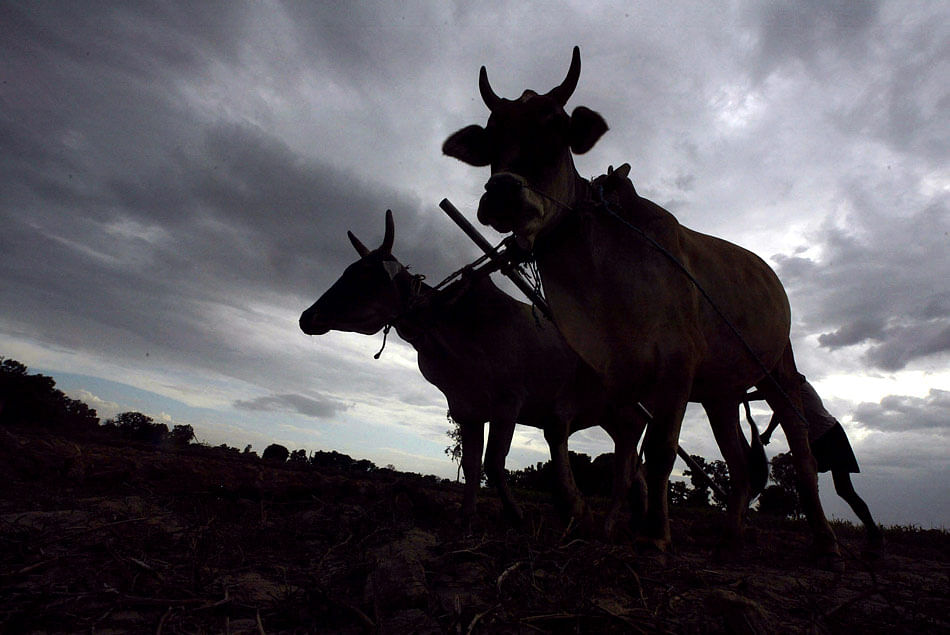 Note Ban Effect On Agriculture - खेती का गड़बड़ाया गणित, किसान परेशान -  Amar Ujala Hindi News Live