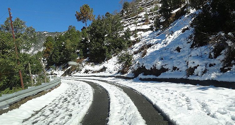 Uttarakhand Hill Station Dhanaulti - मसूरी से थोड़ा आगे पड़ता है देवभूमि का ये मनमोहक हिल स्टेशन - Amar Ujala Hindi News Live