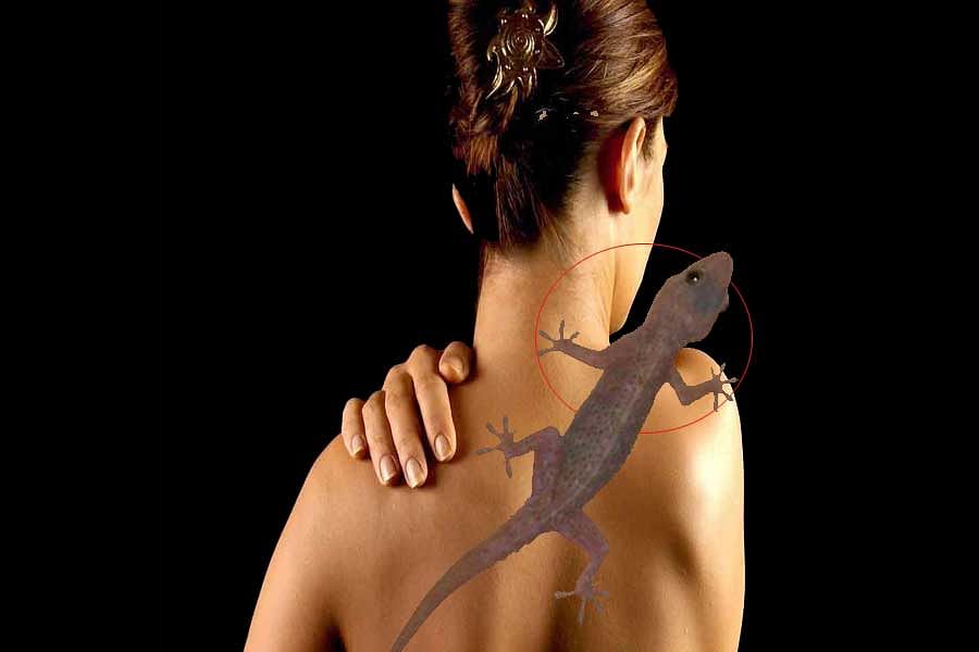 meaning-of-lizard-falling-on-body-parts