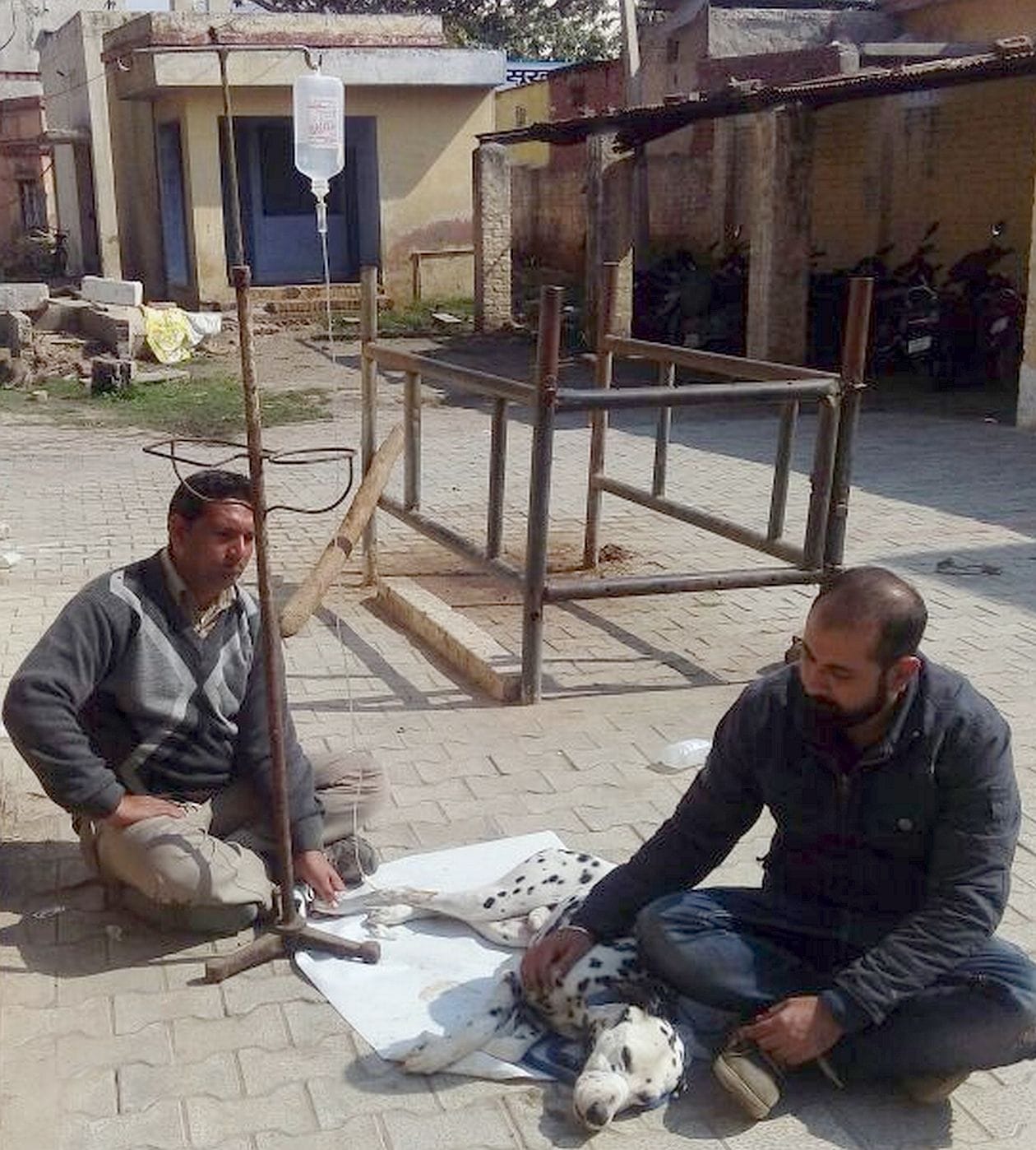 parvo treatment in hindi