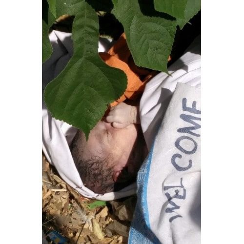 Newborn Baby Boy Found Dead In Bushes Near Una Himachal Pradesh ...