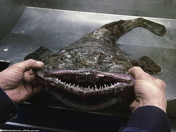 ugly fish mouth