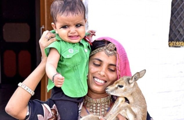 Women Of Vishnoi Samaj Feeding Deer - Mother's Day: यहां ...
