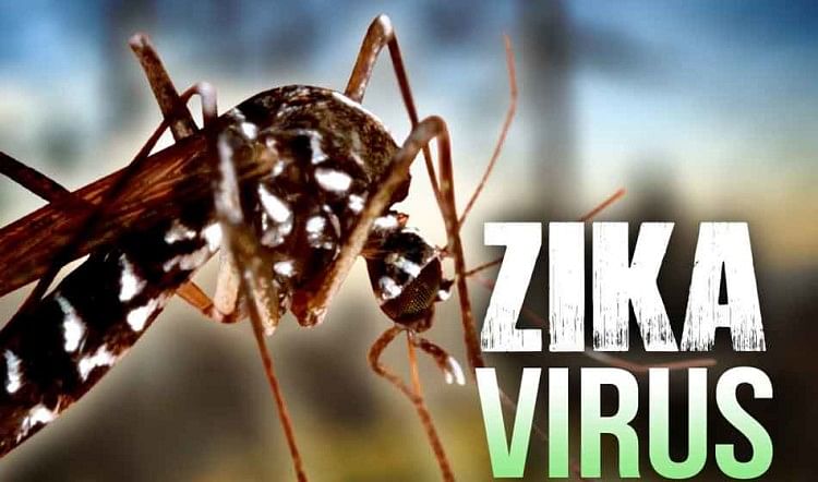 Virus Zika: Peringatan Departemen Kesehatan Uttarakhand Mengenai Virus Zika, Fokus Khusus Pada Udham Singh Nagar