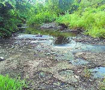 प्रदूषण के कारण काला हो गया रेठ नदी का पानी - अमर उजाला