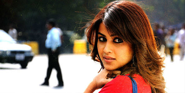 Genelia Dsouza Profile Height Age Affairs Biography Amar Ujala