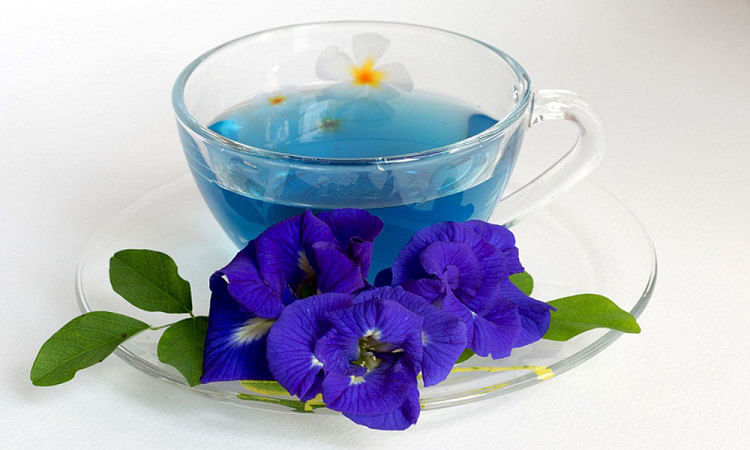 The Health Benefits Of Butterfly Pea Flower Beats Green Tea Know How To Use It इस फ ल क ब ल च य ग र न ट क द त ह म त ज न कई फ यद Amar