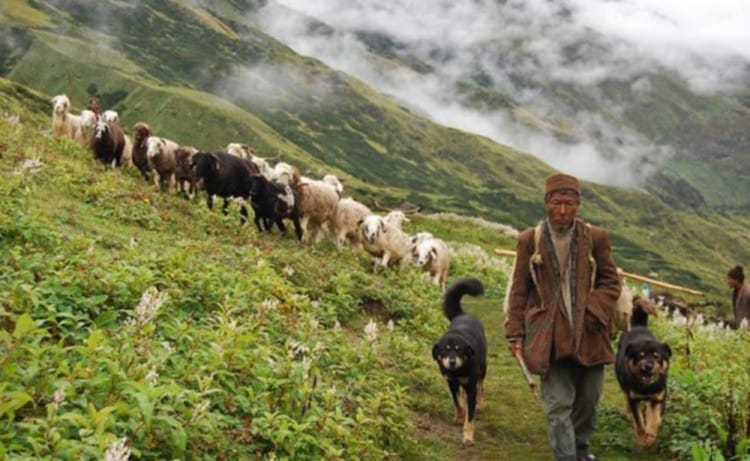 India China Dispute Latest News: Niti valley people Helped indian army in 1962 indo china War