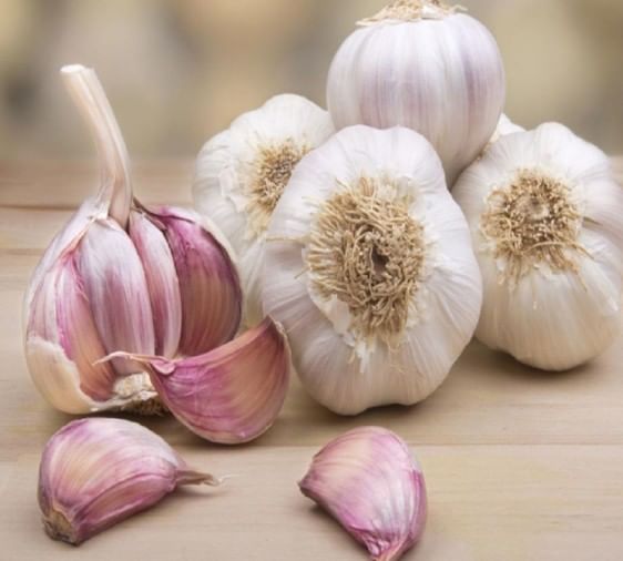 covid19 How effective is garlic in treatment? Learn advantages and